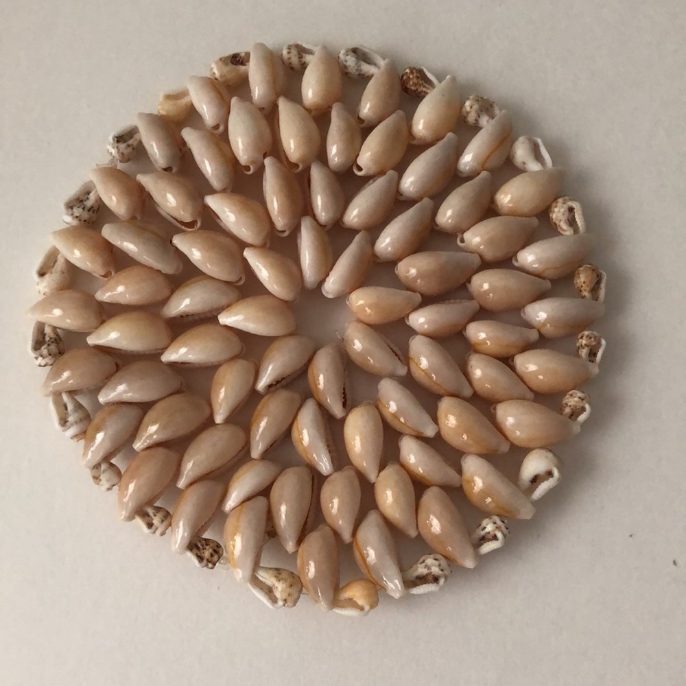 4 pc set Natural Shell Coasters - Picture 2 of 4